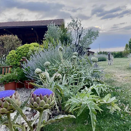 - La Clochette Appartement