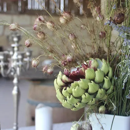 Appartamento - La Clochette *