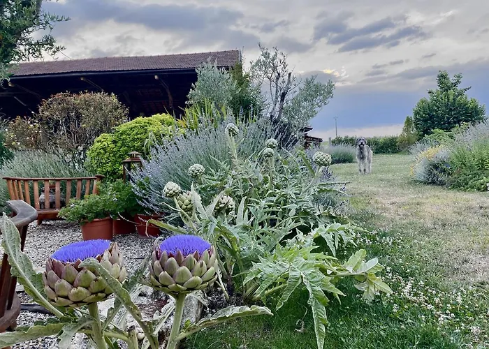 - La Clochette Apartamento